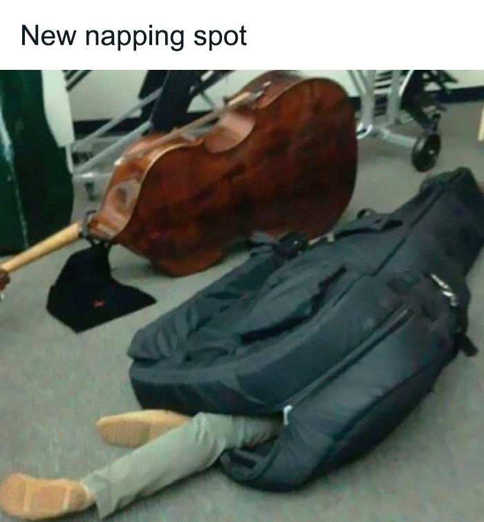 Person humorously napping under a large cello case; music memes bring laughter to performers.