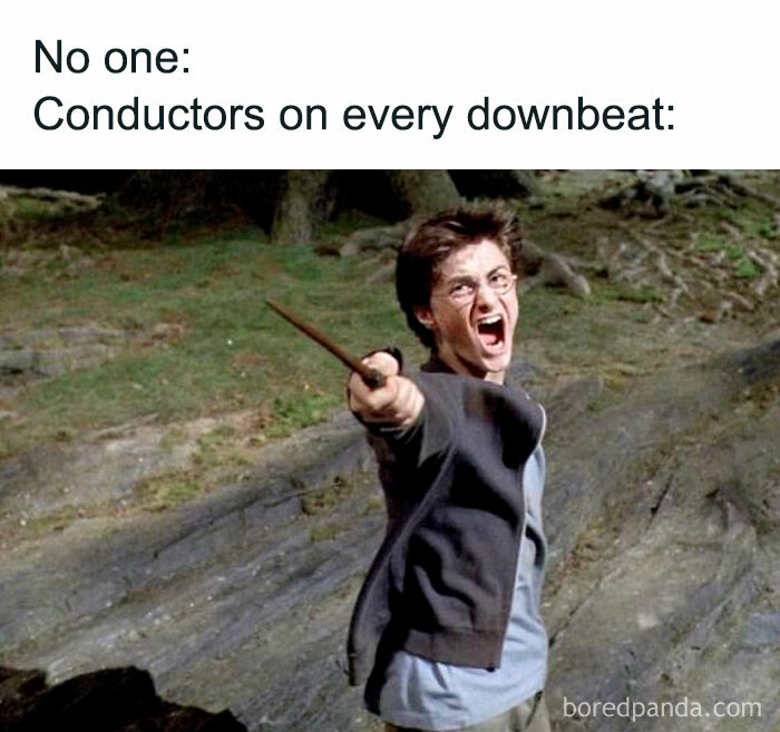 Person holding a wand energetically with text about conductors, creating a funny music meme.