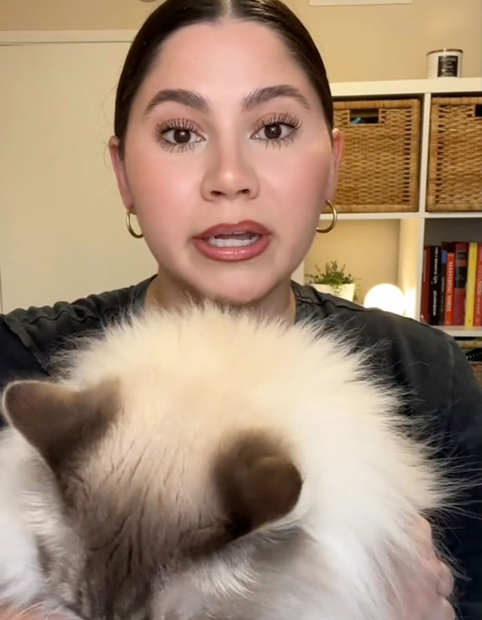 Content Creator Shares Heartbreaking Update Of Dog&rsquo;s Passing Due To Dad&rsquo;s Negligence