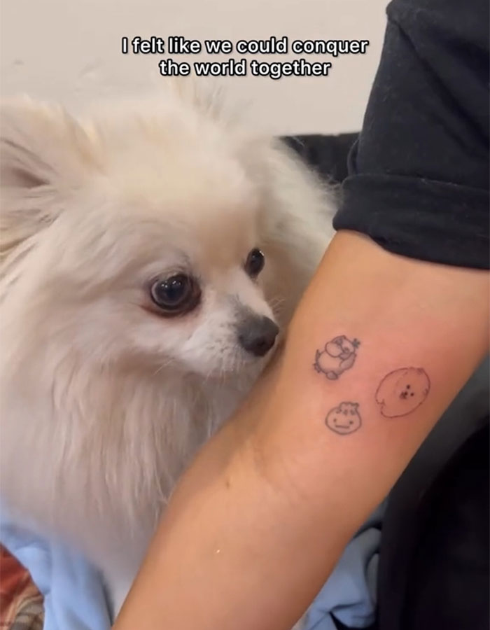 Content Creator Shares Heartbreaking Update Of Dog&rsquo;s Passing Due To Dad&rsquo;s Negligence