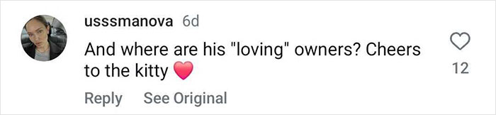 Giant Cat “Crumb” That Weighs Nearly 40 lb Was Rescued From Russian Basement, Sparks Anger Giant Cat “Crumb” That Weighs Nearly 40 lb Was Rescued From Russian Basement, Sparks Anger