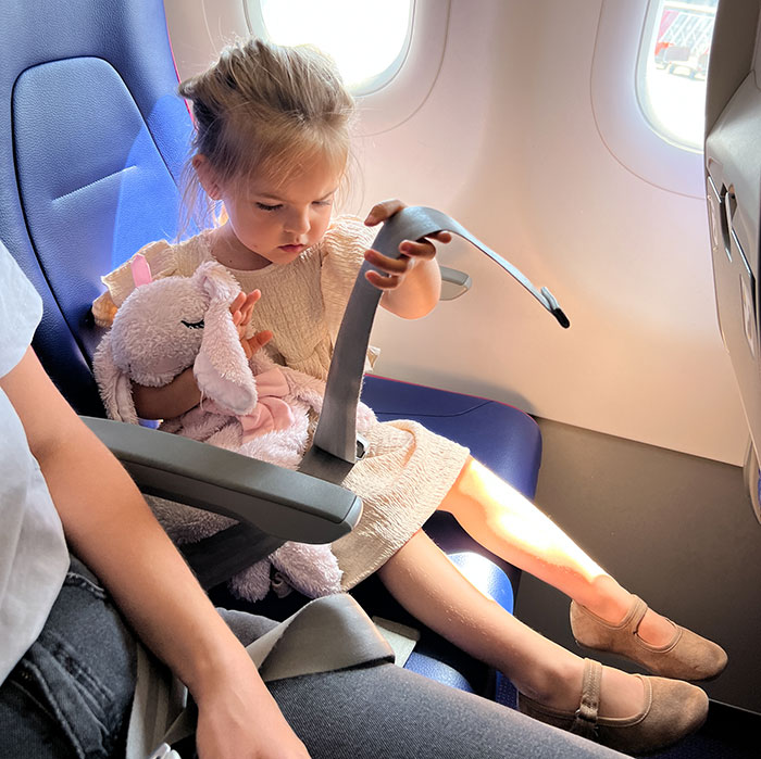 Passenger Demands Toddler Move From Paid Seat: "Not Ask, But Demand" Passenger Demands Toddler Move From Paid Seat: "Not Ask, But Demand"