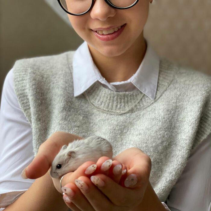 “I Was A Witch”: 30 Hilariously Absurd Reasons Kids Ended Up In The Principal’s Office