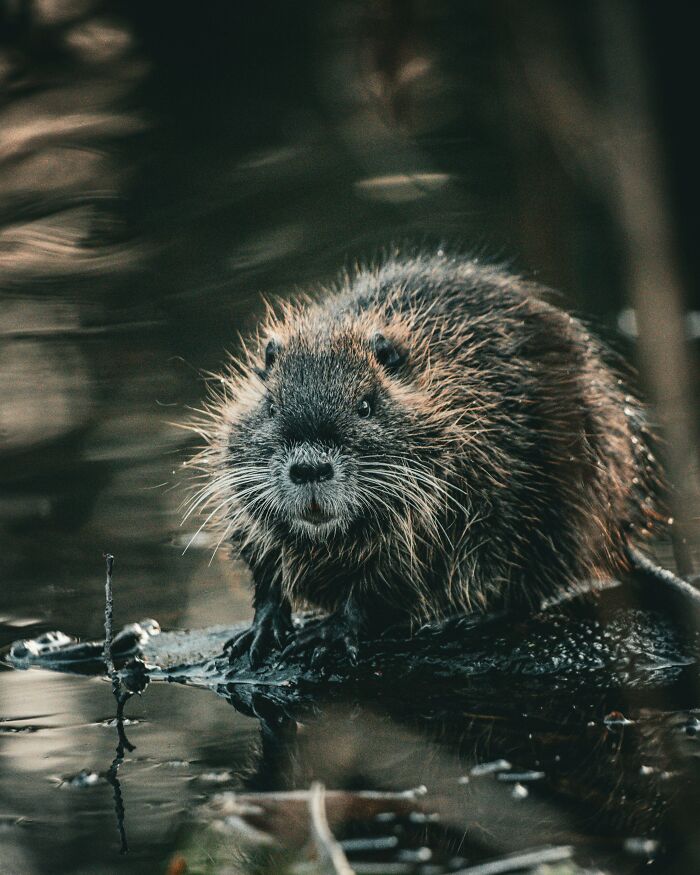 "What Is A Food That Makes You Think, 'How Did Humans Discover This Was Edible?'" (22 Answers)