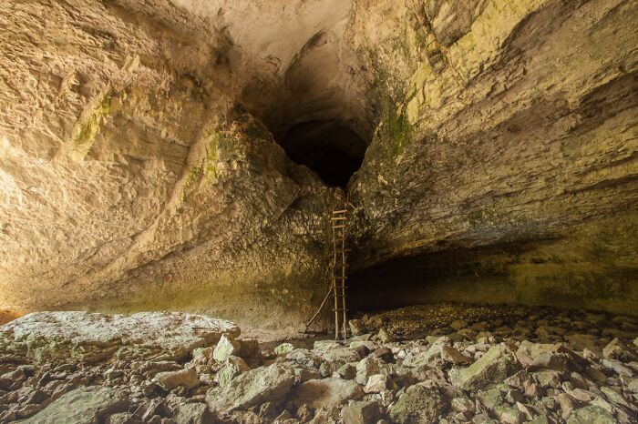 30 People Reveal The Darkest Internet Rabbit Holes They’ve Fallen Into