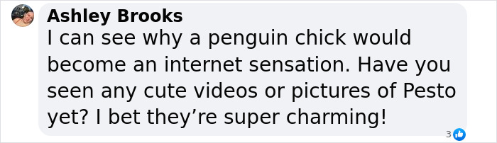 Meet 9-Month-Old Pesto, Who&rsquo;s The Besto, Weighing In At A Whopping 22 Kg