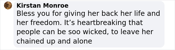 An Elephant Walking Without Chains For The 1st Time In 41 Years Is Melting Hearts Online An Elephant Walking Without Chains For The 1st Time In 41 Years Is Melting Hearts Online