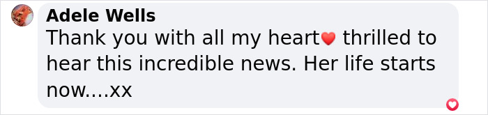 An Elephant Walking Without Chains For The 1st Time In 41 Years Is Melting Hearts Online An Elephant Walking Without Chains For The 1st Time In 41 Years Is Melting Hearts Online