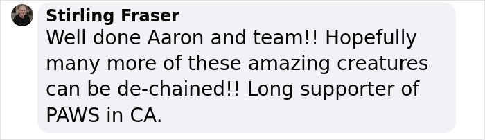 An Elephant Walking Without Chains For The 1st Time In 41 Years Is Melting Hearts Online An Elephant Walking Without Chains For The 1st Time In 41 Years Is Melting Hearts Online