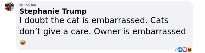 Vet Gets Bitten By A Cat During Appointment, Receives A Wholesomely Funny Apology Card From Her