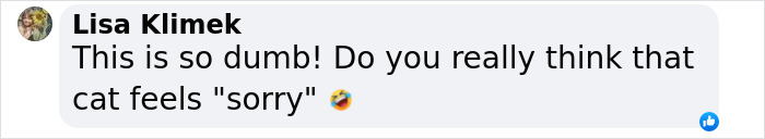 Vet Gets Bitten By A Cat During Appointment, Receives A Wholesomely Funny Apology Card From Her