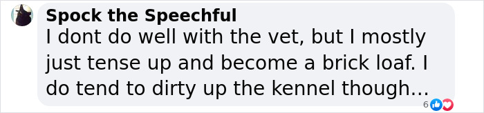 Vet Gets Bitten By A Cat During Appointment, Receives A Wholesomely Funny Apology Card From Her