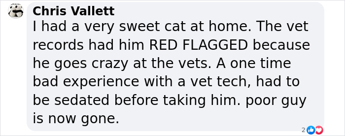 Vet Gets Bitten By A Cat During Appointment, Receives A Wholesomely Funny Apology Card From Her