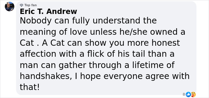 Vet Gets Bitten By A Cat During Appointment, Receives A Wholesomely Funny Apology Card From Her