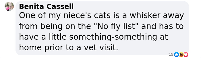 Vet Gets Bitten By A Cat During Appointment, Receives A Wholesomely Funny Apology Card From Her