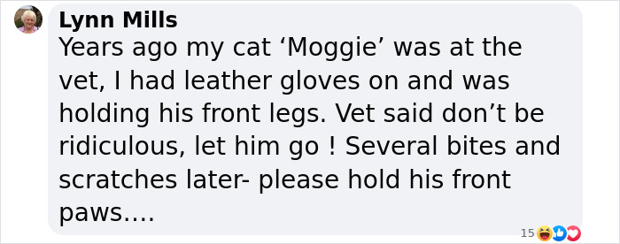 Vet Gets Bitten By A Cat During Appointment, Receives A Wholesomely Funny Apology Card From Her