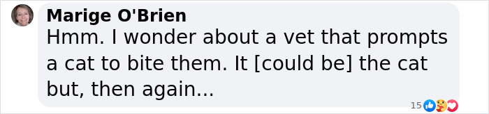 Vet Gets Bitten By A Cat During Appointment, Receives A Wholesomely Funny Apology Card From Her