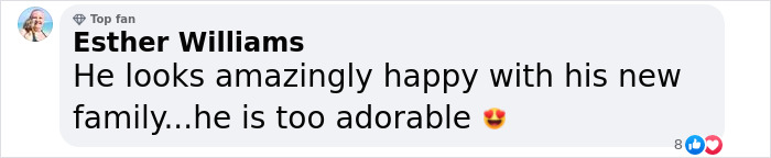 A Story Of A Stray Dog Carrying A Damp Newspaper As His Only Toy Took Unexpected Turn