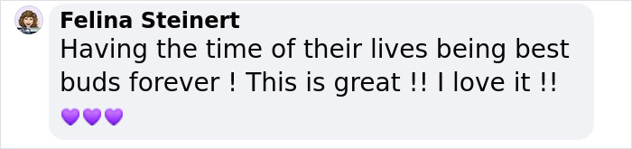 Man Shares Hilariously Cute Photos Of Driving With And Being Driven By His Adorable Dogs Man Shares Hilariously Cute Photos Of Driving With And Being Driven By His Adorable Dogs