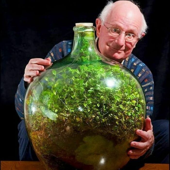 In 1960, David Latimer Planted A Spiderwort Sprout Inside Of A Large Glass Bottle, Added A Quarter Pint Of Water, And Then Sealed It Shut