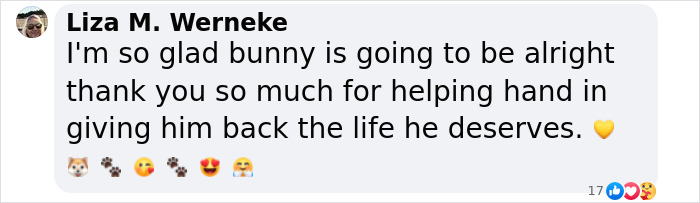 Puppy Is Frozen By Rare Disease, Recovers And Takes First Steps Despite Nobody Believing Puppy Is Frozen By Rare Disease, Recovers And Takes First Steps Despite Nobody Believing