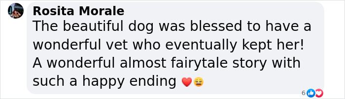 Puppy Is Frozen By Rare Disease, Recovers And Takes First Steps Despite Nobody Believing Puppy Is Frozen By Rare Disease, Recovers And Takes First Steps Despite Nobody Believing