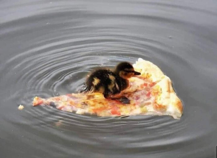 Pizzas-With-Threatening-Auras