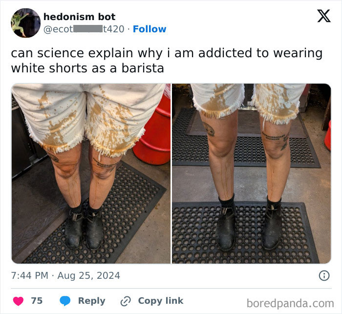 This Actually Looks Really Cool 