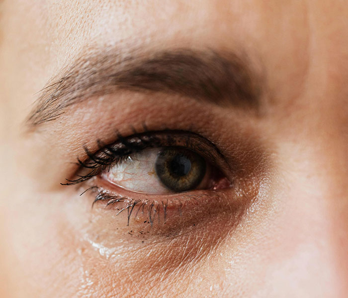 “Operation Paperclip”: 30 Things That Sound Like Conspiracy Theories, But Are Actually True