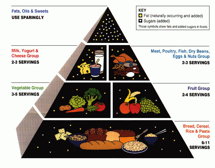 “Operation Paperclip”: 30 Things That Sound Like Conspiracy Theories, But Are Actually True