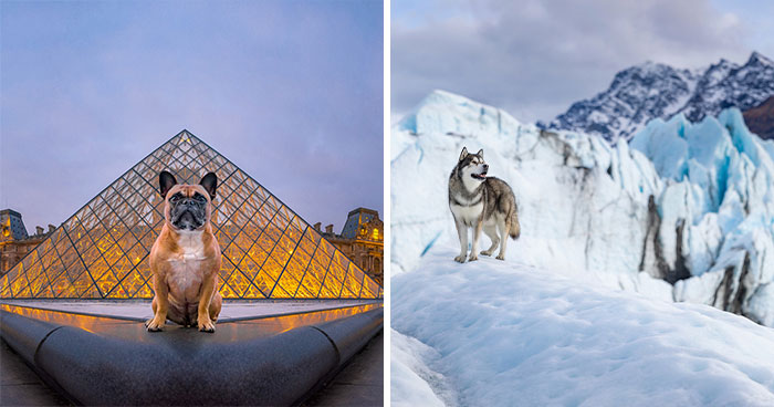 I Traveled The World To Capture 60+ Dog Breeds In Their Natural Homes For My ‘Dogs Of The World’ Project (12 Pics)