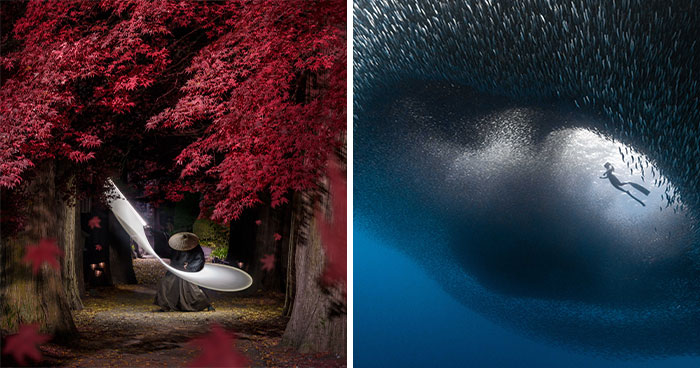 2024 IPA Winners: Unveiling The Future Of Photography In 20 Pictures