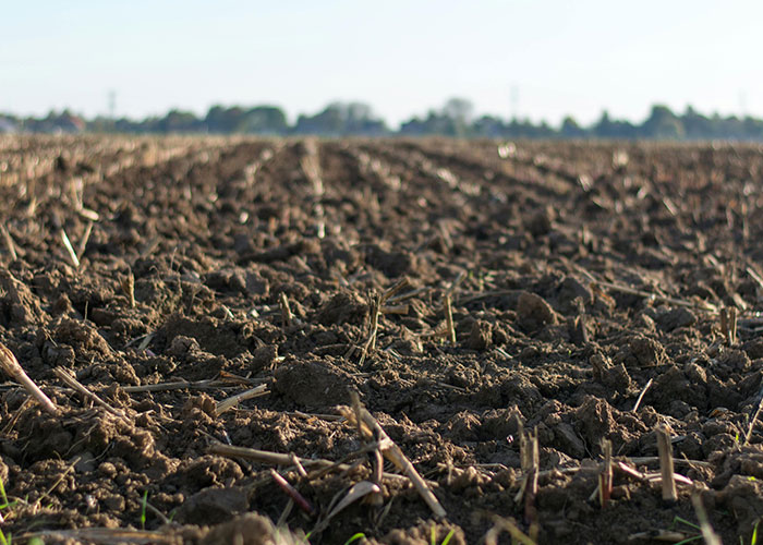 People Share 30 Things That Are Dangerously Close To Ending