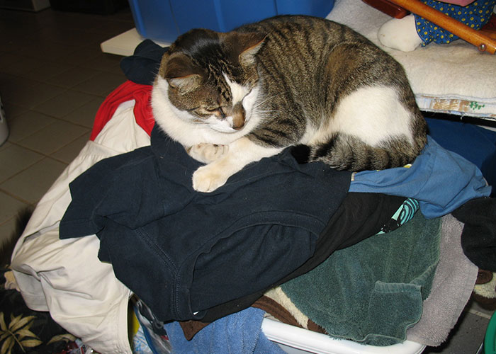 People Share 30 Things That Are Dangerously Close To Ending