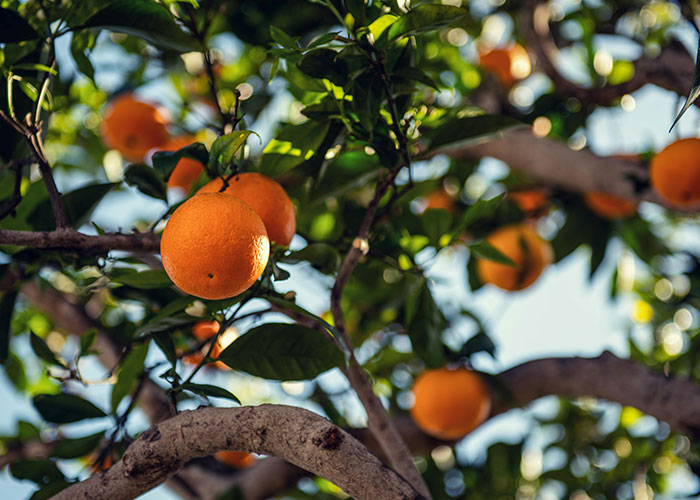 People Share 30 Things That Are Dangerously Close To Ending