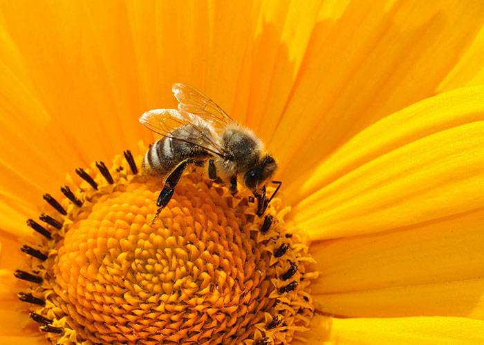 People Share 30 Things That Are Dangerously Close To Ending