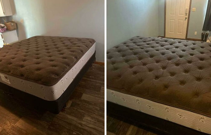 Forbidden Ice Cream Sandwich