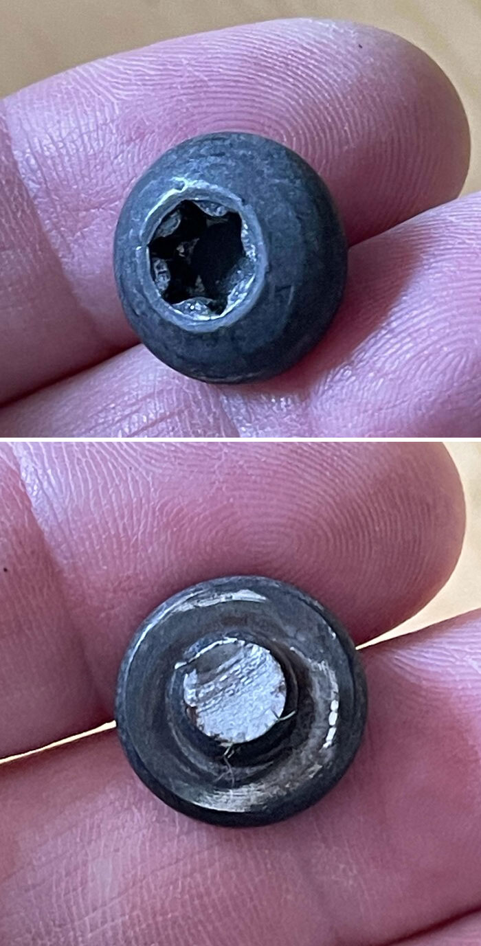 Forbidden Blueberry Fell Off My Office Chair