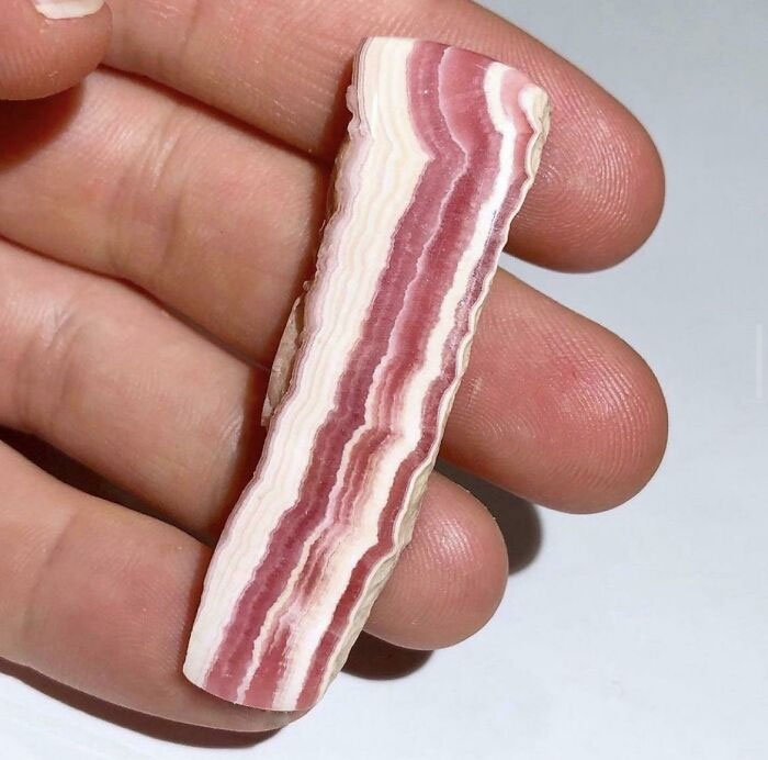 Forbidden Bacon