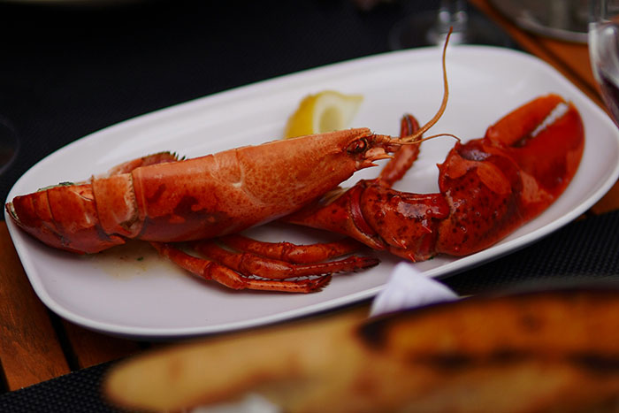 Plated lobster dish showcasing a luxury meal often enjoyed by ultra rich individuals with insider information.