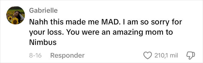 Content Creator Shares Heartbreaking Update Of Dog&rsquo;s Passing Due To Dad&rsquo;s Negligence