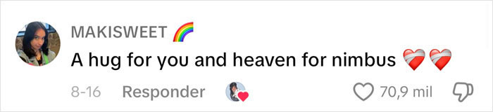 Content Creator Shares Heartbreaking Update Of Dog&rsquo;s Passing Due To Dad&rsquo;s Negligence