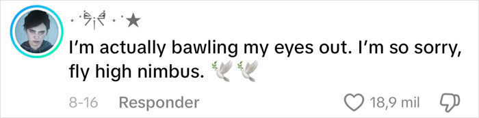 Content Creator Shares Heartbreaking Update Of Dog&rsquo;s Passing Due To Dad&rsquo;s Negligence