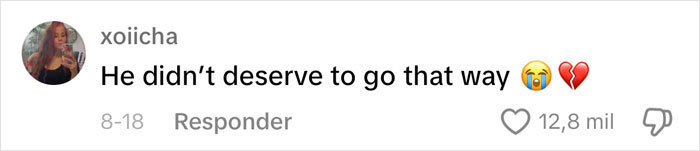 Content Creator Shares Heartbreaking Update Of Dog&rsquo;s Passing Due To Dad&rsquo;s Negligence