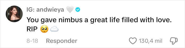 Content Creator Shares Heartbreaking Update Of Dog&rsquo;s Passing Due To Dad&rsquo;s Negligence