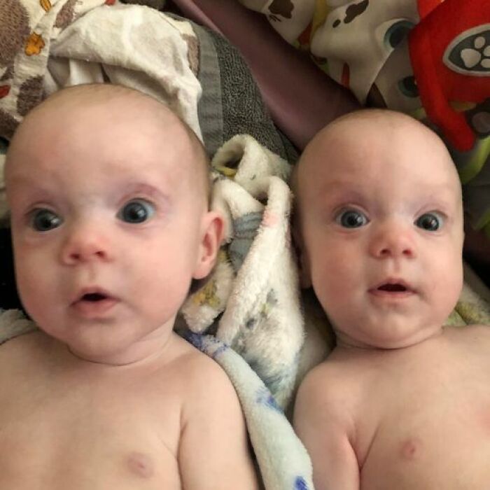 Twin Toddlers Found Lifeless In Car After Family Member Forgets To Drop Them At Daycare Twin Toddlers Found Lifeless In Car After Family Member Forgets To Drop Them At Daycare