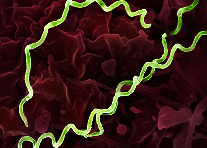 26 Cosas que la gente nunca pensó que tendría que explicarle a otro adulto