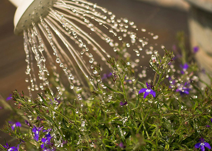 26 Cosas que la gente nunca pensó que tendría que explicarle a otro adulto