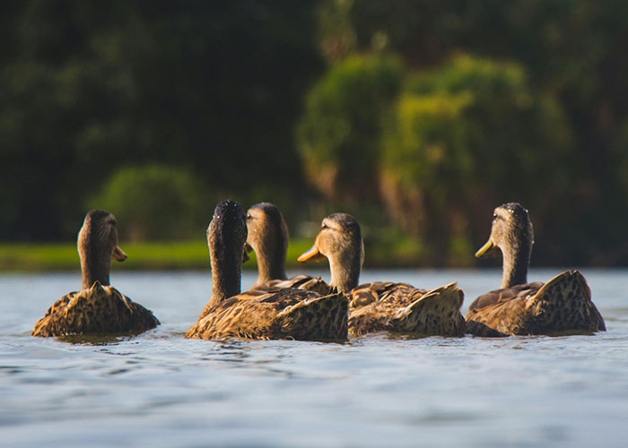 50 Of The Most Obvious Things These People Had To Explain To Clueless Adults