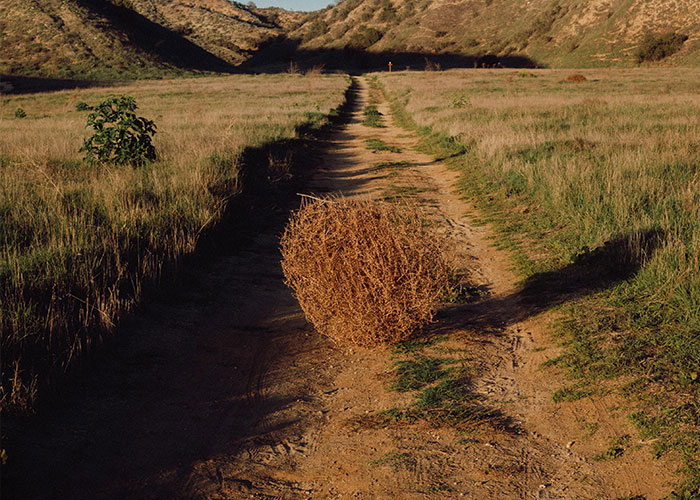 50 Of The Most Obvious Things These People Had To Explain To Clueless Adults